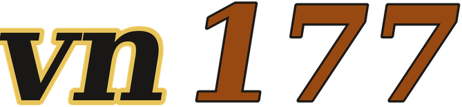 vn177 logo